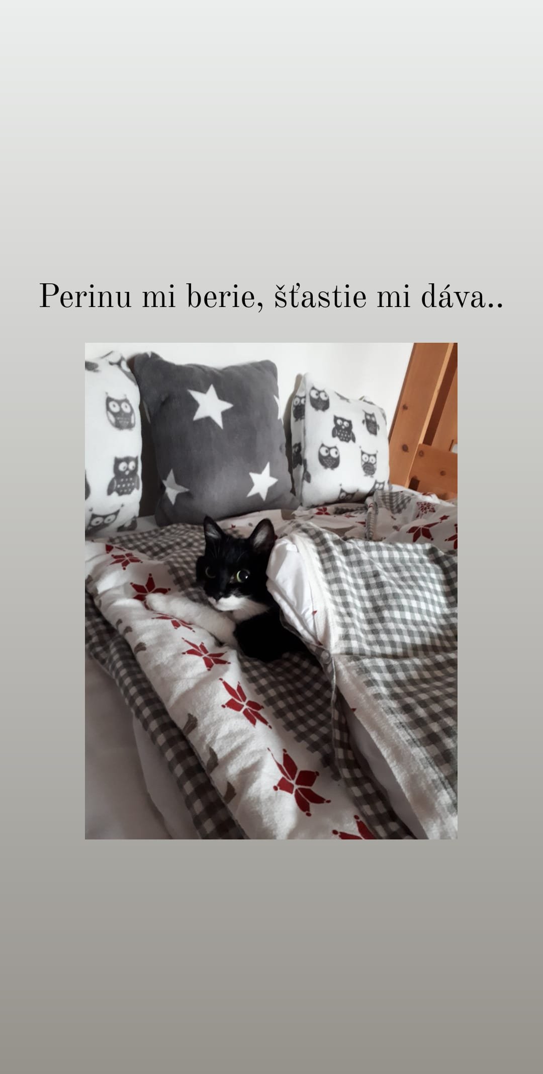 Obrázok bez popisu č.1079307