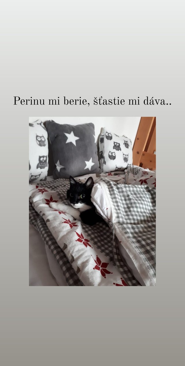 Obrázok bez popisu č.1079307