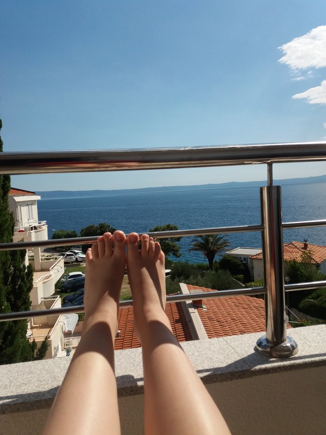 Na toto za ľahko zvyká.