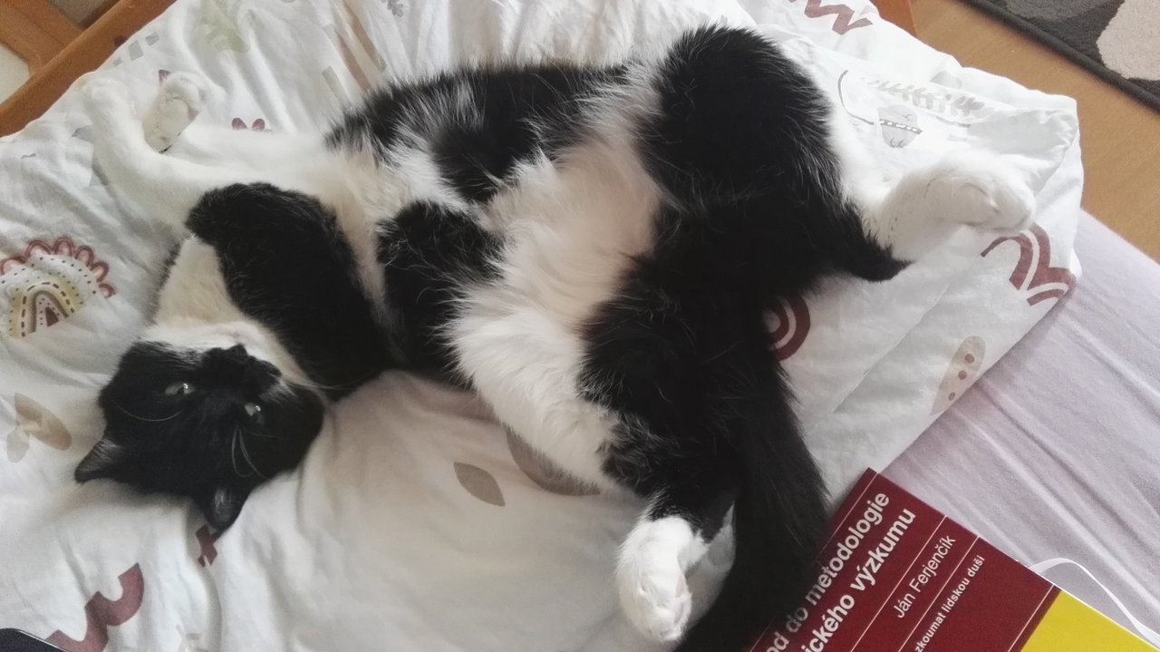 Rozčapená ako lacná deva, psychicky pomáha v učení