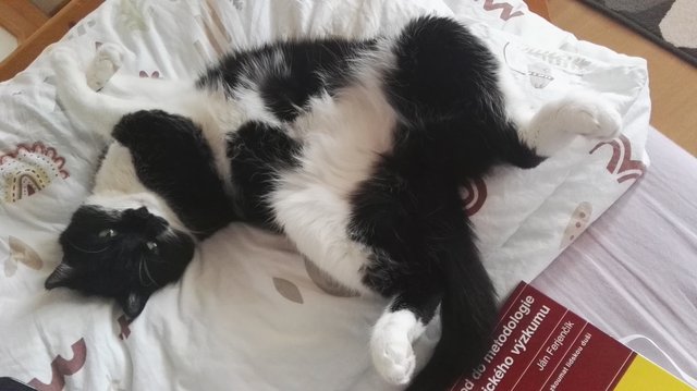 Rozčapená ako lacná deva, psychicky pomáha v učení