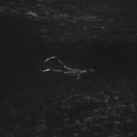 These shallow waters never met what I needed . I'm letting go a deeper dive.