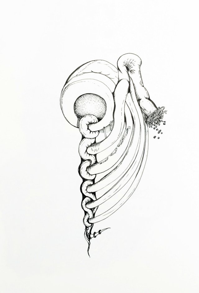 Silmarill // the ouroboros is broken
