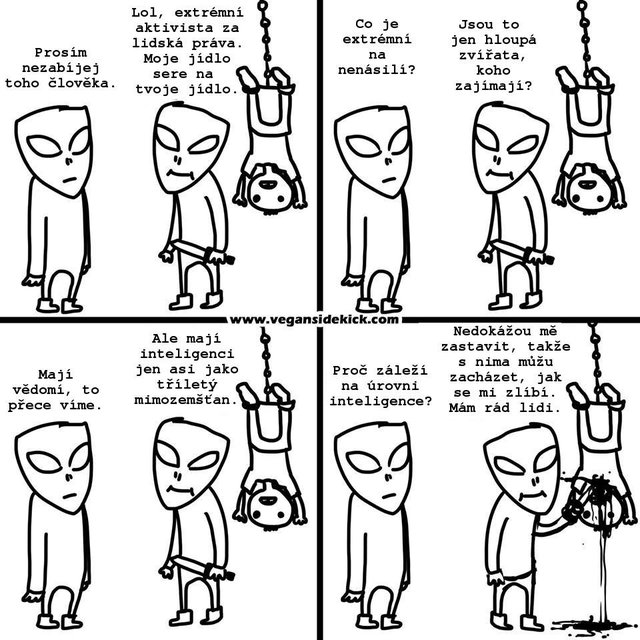 https://www.facebook.com/pg/VeganSidekickCZ/