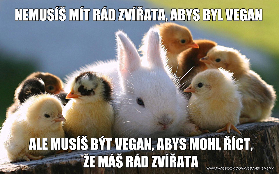 základná slučka