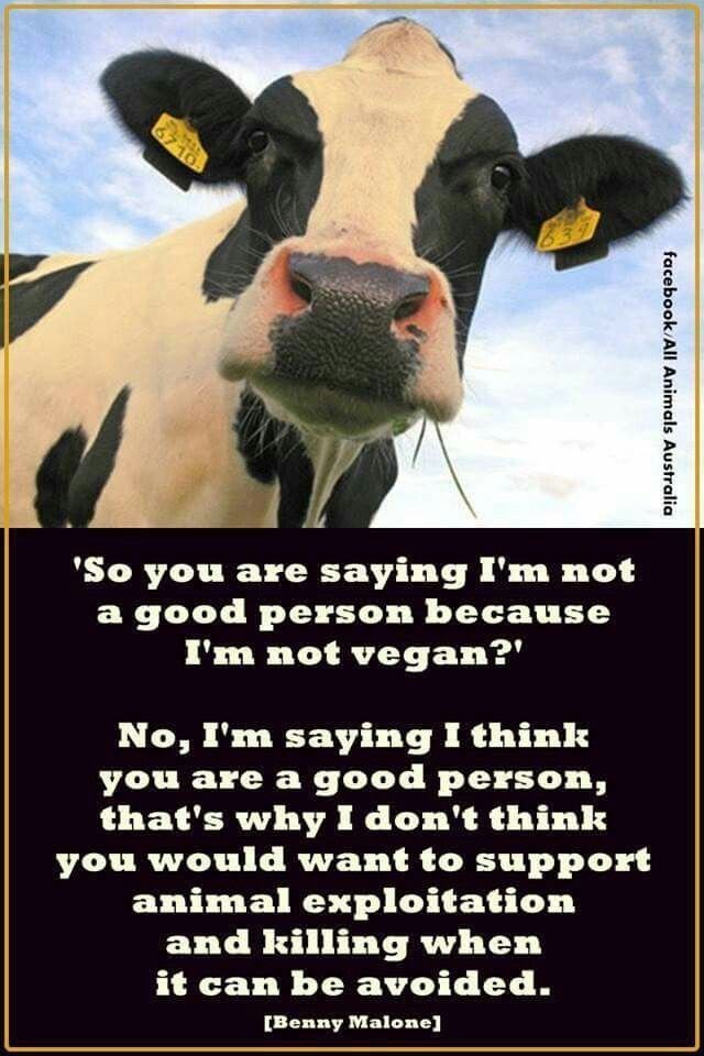 I don't think i'm anyone's superior. That's why I live vegan.