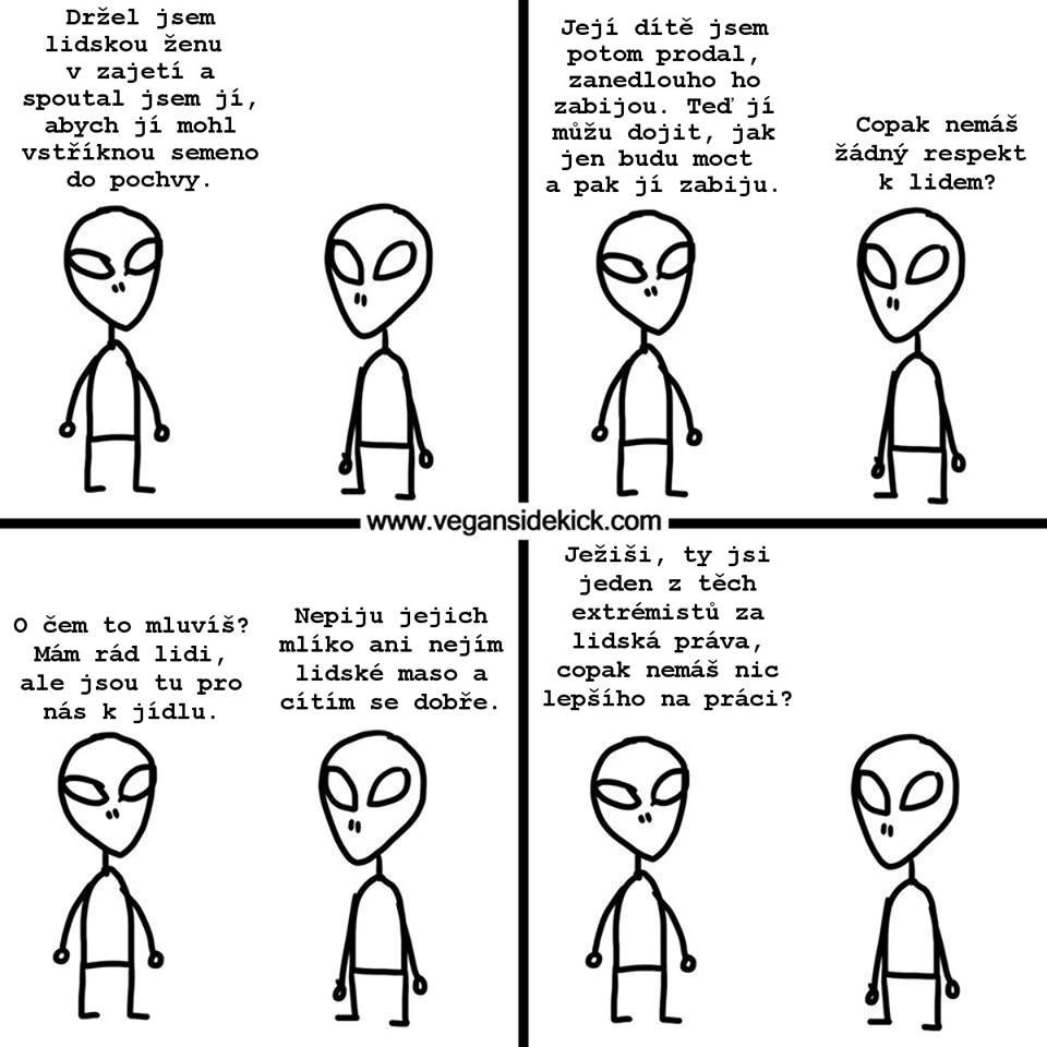 https://www.facebook.com/VeganSidekickCZ/