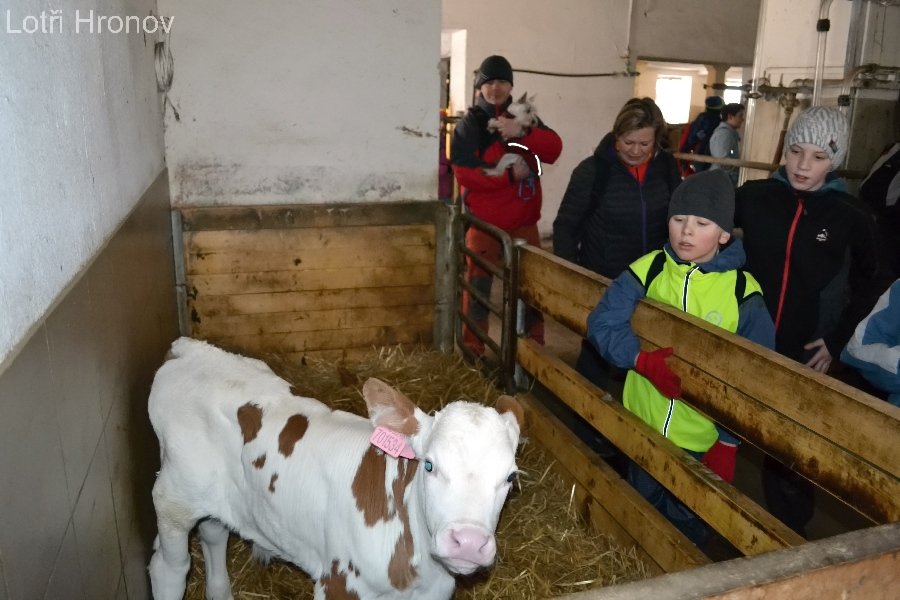 „Je to jako s lidmi. Každá má tady svoje jméno a jinak se chová. My už je známe a víme, co na kterou funguje.“ Říká pan Kubín.