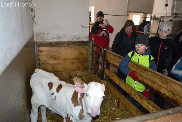 „Je to jako s lidmi. Každá má tady svoje jméno a jinak se chová. My už je známe a víme, co na kterou funguje.“ Říká pan Kubín.