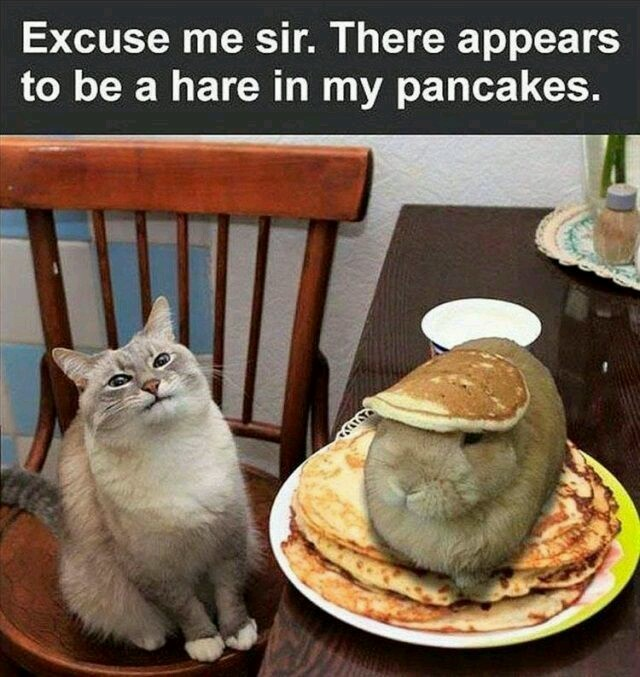 lel, NOICE PUN