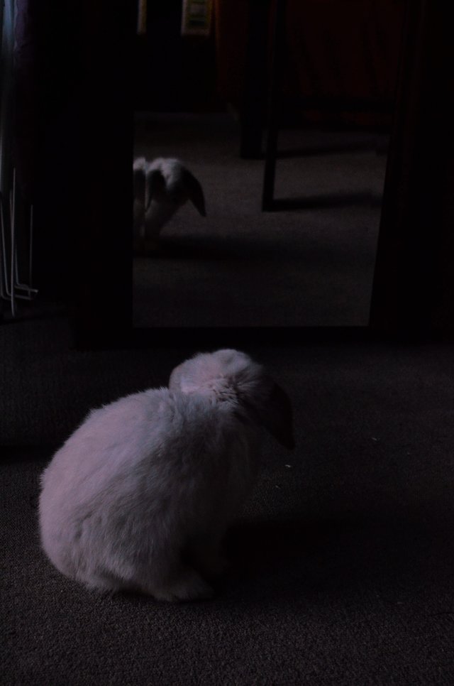 reflection of da self 