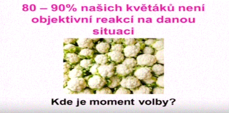 Keď Vám život dá karfiol...