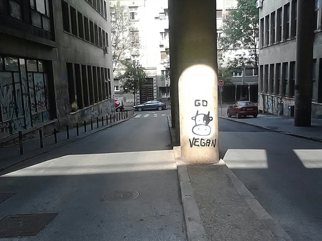 No dobre teda