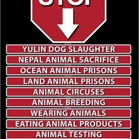 STOP: jatkám psov v Yulin
Obetovaniu psov v Nepále
Väzeniam oceánskych zvierat
Väzeniam suchozemských zvierat
Cirkusom so zvieratami
Chovateľstvu
Noseniu odevov zo zvierat
Jedeniu živočíšnych produktov
Testovaniu na zvieratách
Lovu trofejí
Stop vykorisťov