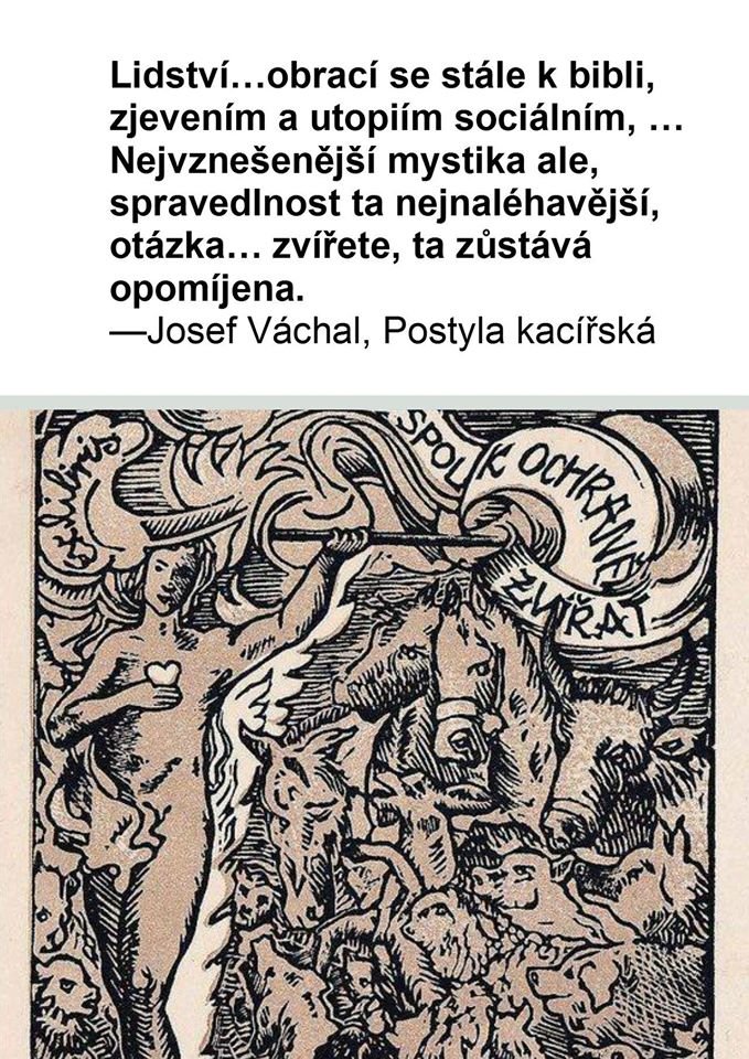Pravdu mal ten Váchal. Pekne ryl i viazal 