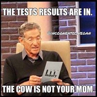 Prišli výsledky testov. Krava nie je Tvoja matka.