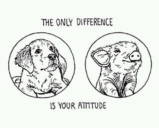 Jediným rozdielom je náš postoj.
