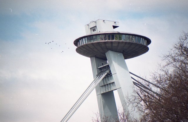 Bird Passengers 