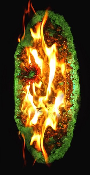Fire flower
