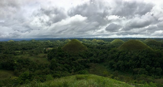 Chocolate hills