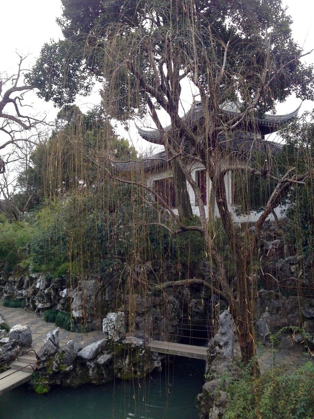 Lion Grove Garden, Suzhou