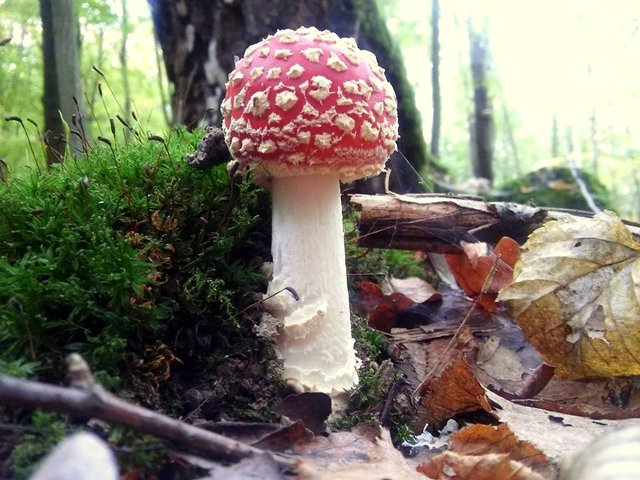 krásavica :) ♥
