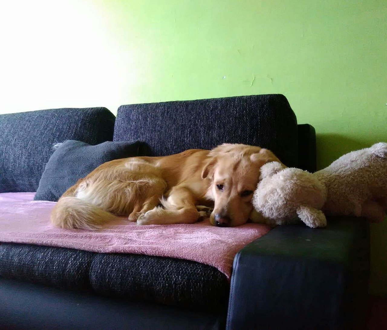 Obrázok bez popisu č.1048386