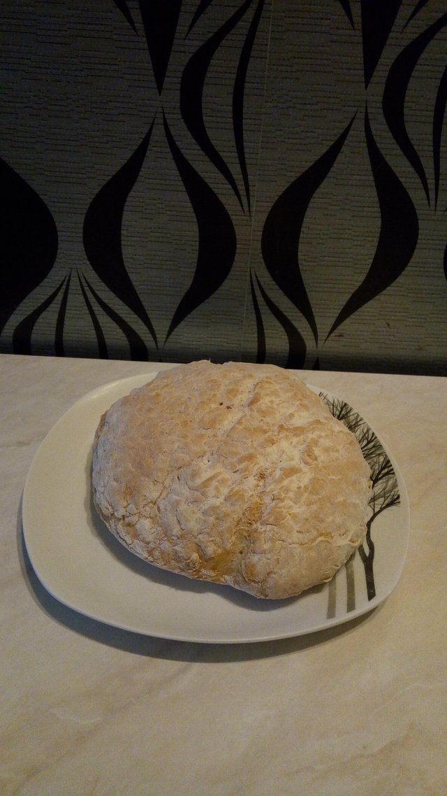 Môj prvý domáci chlieb B)