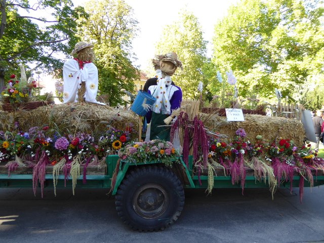 V.Regia 2019