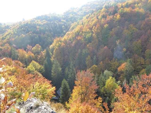 Obrázok bez popisu č.1055263