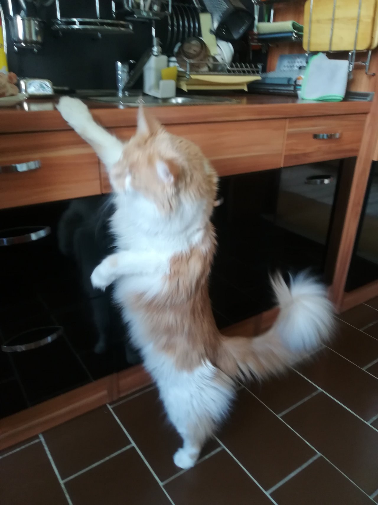 Takmer 8,5kg váži chalanisko :D