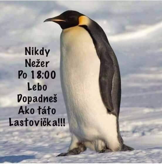 Obrázok bez popisu č.1057003