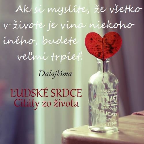 Obrázok bez popisu č.1049837
