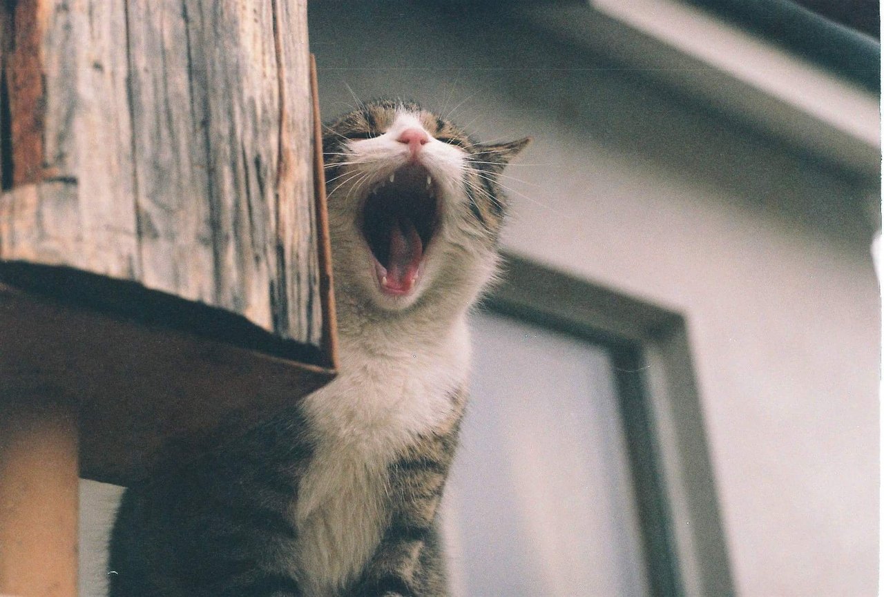 Yaaaaaaawn