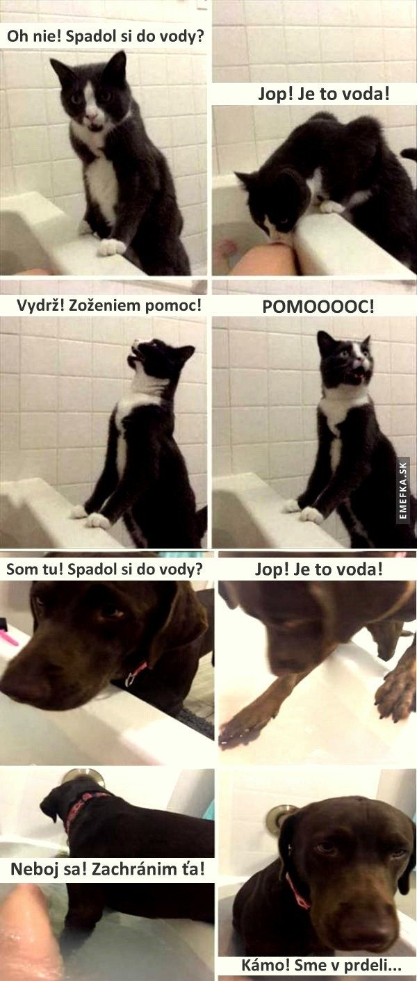 Milujem tento obrazok :DDD 