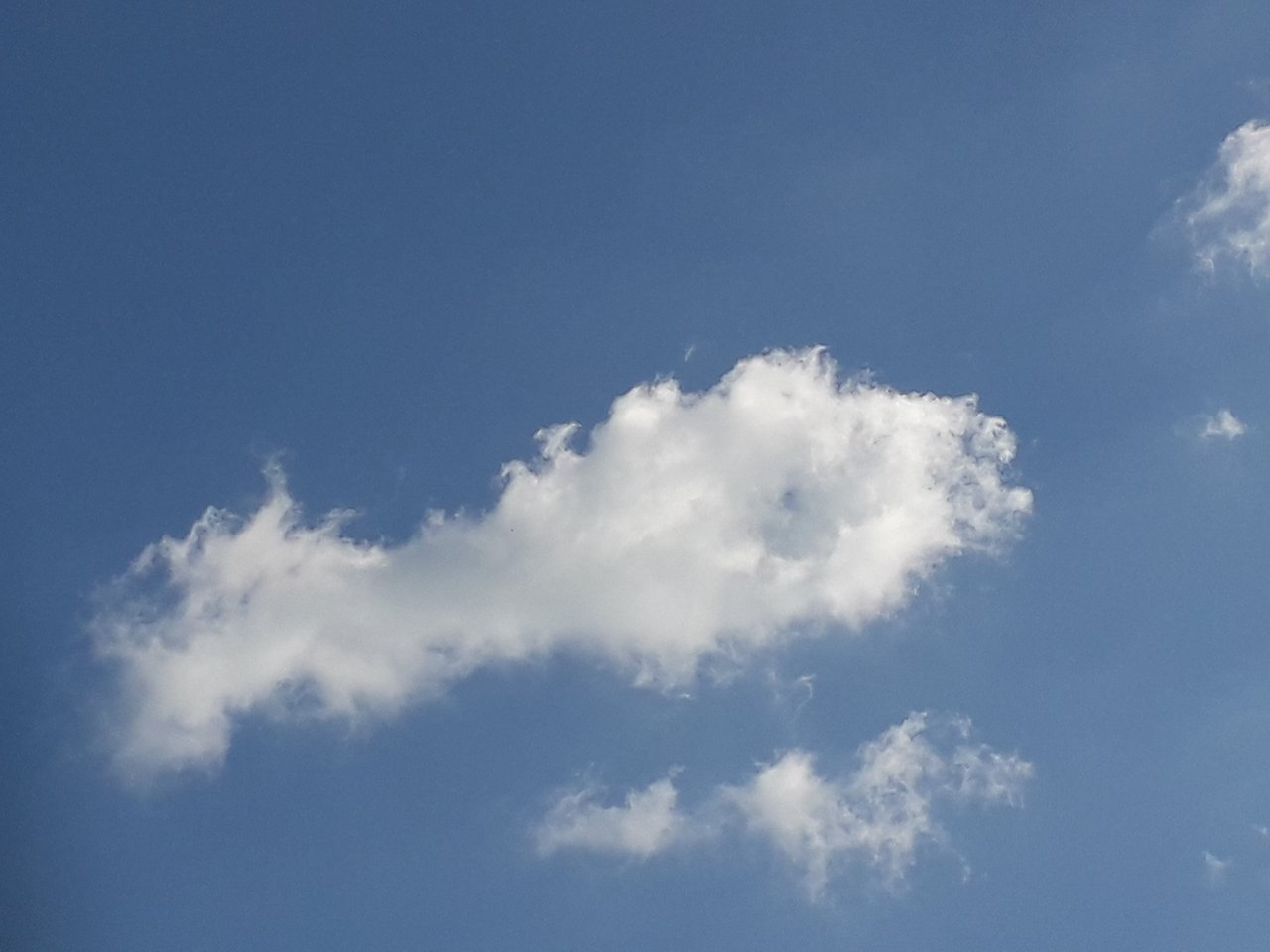 Tak pozorujem oblohu a hľa, kuracie stehno!