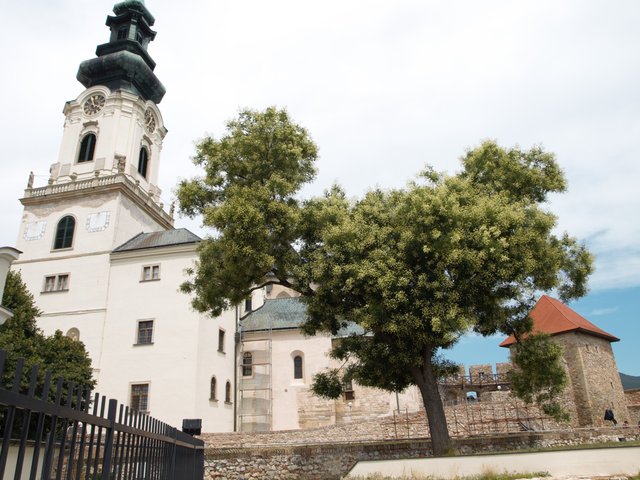 Obrázok bez popisu č.1052696