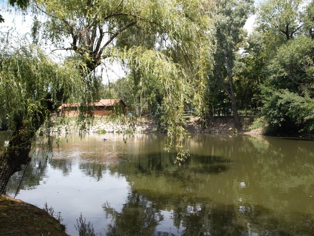 Obrázok bez popisu č.1052701
