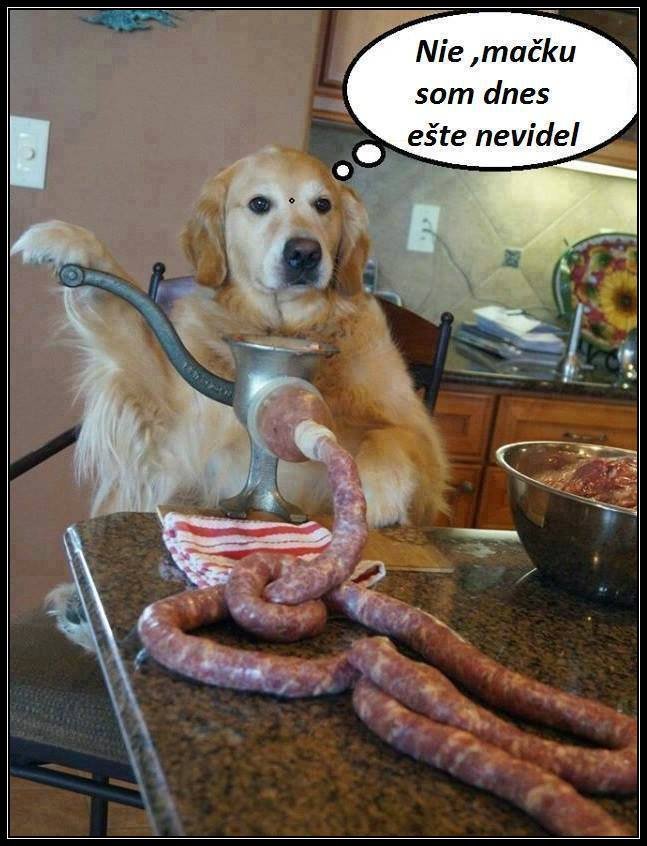 Obrázok bez popisu č.1048280