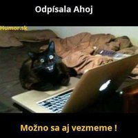 možno.. :D