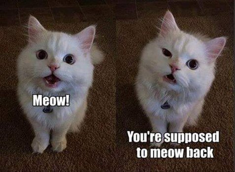 :D 