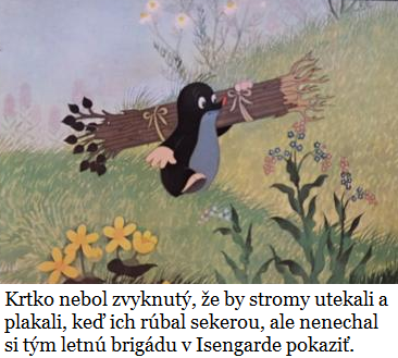 Obrázok bez popisu č.1050018