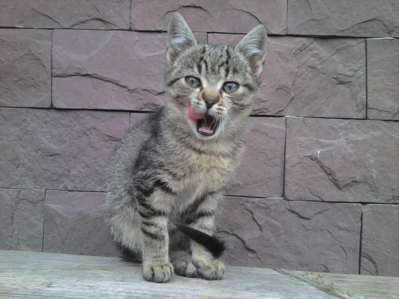 Maja <3 :) 
