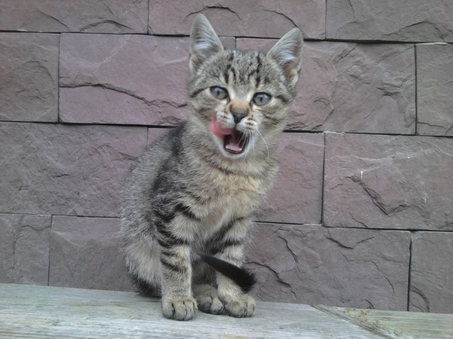 Maja <3 :) 