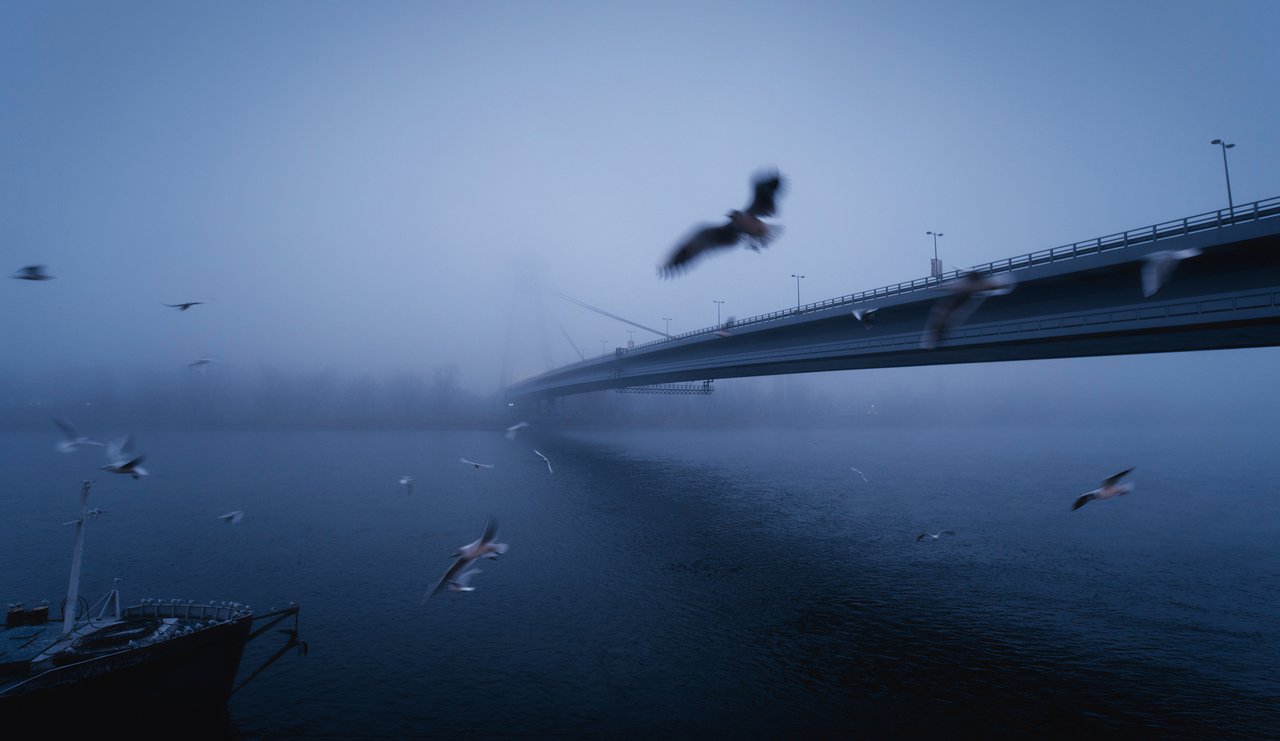 bird(z)s