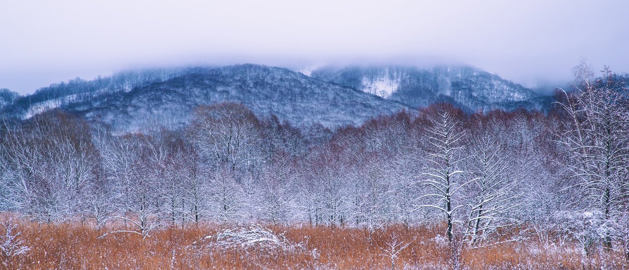 Karpaty, záhorácka strana 
