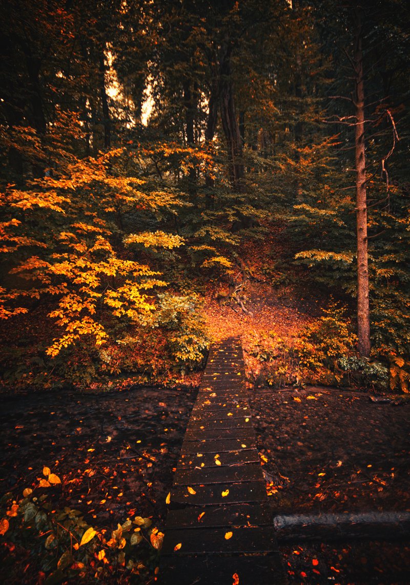 autumn prišla