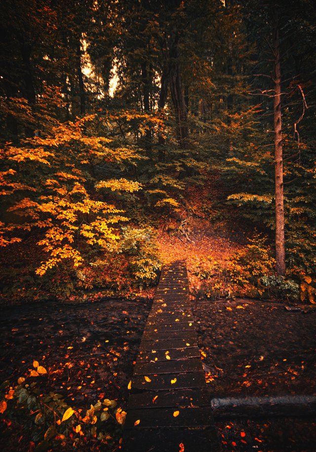 autumn prišla