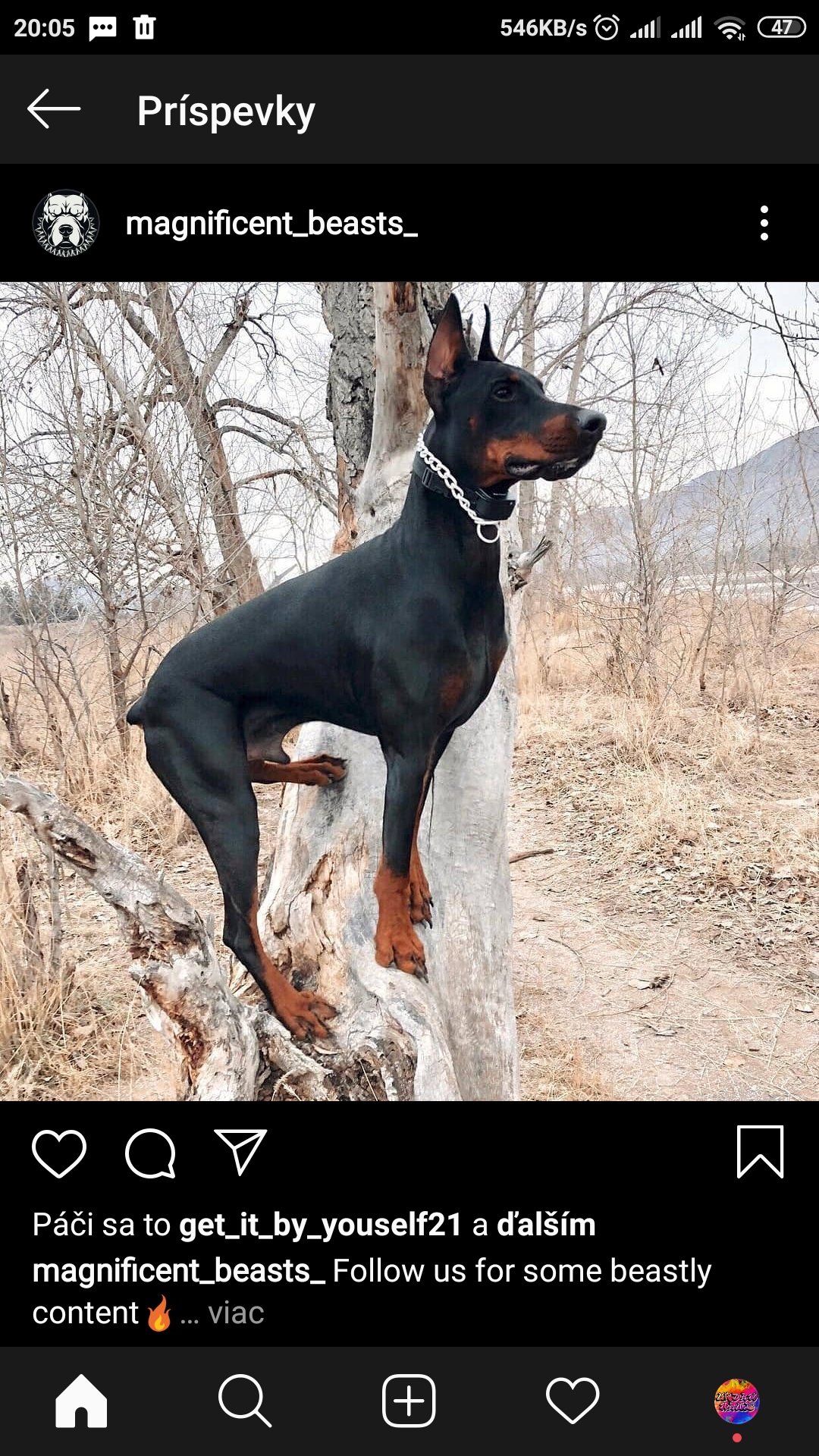 Velkolepa bestia! :* <3 