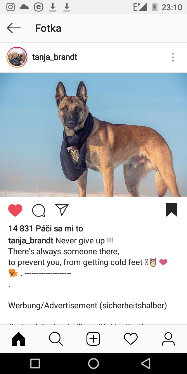 Toto je tak rozkosne! Pesko a jeho kamoska sovicka! :3 